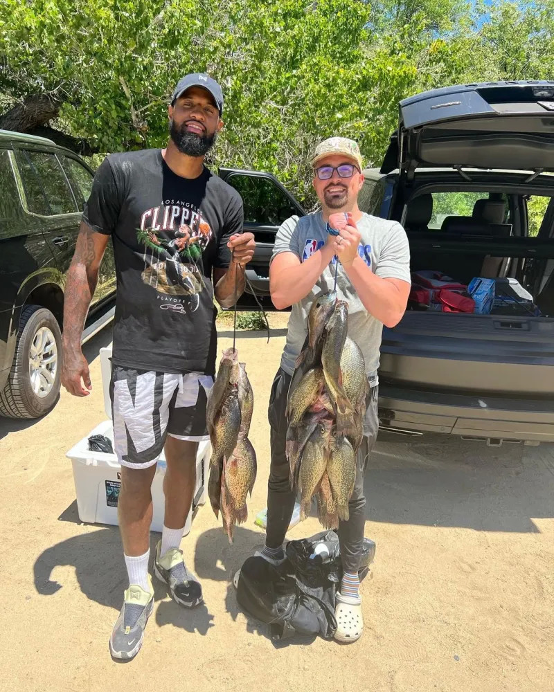 的战术体系 的战术体系