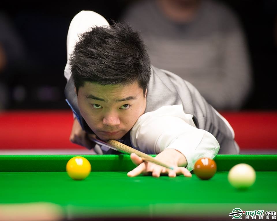 为爱宠准备 为爱宠准备