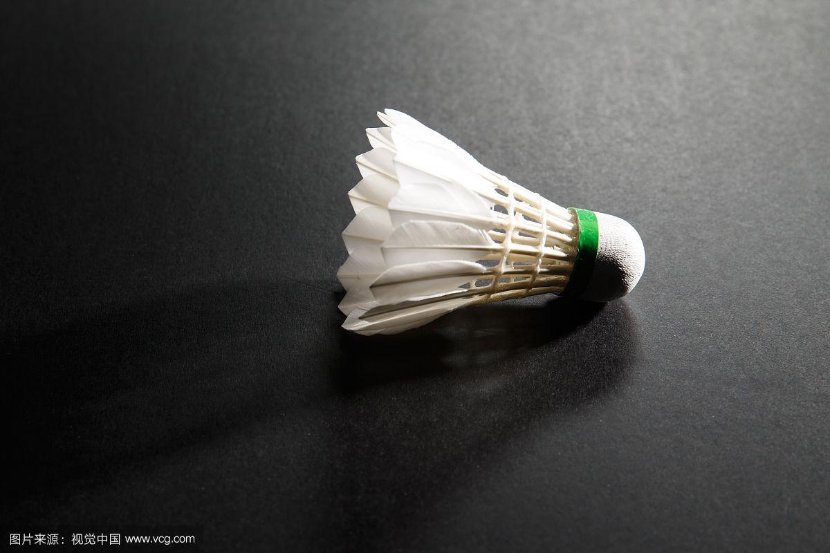 强大的支持 强大的支持